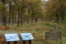 The Scottish Wildlife Trust Reserve at Rahoy