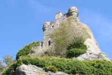 Castle Tioram, now a stronghold for ivy
