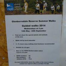 Glenborrodale summer walks 2014