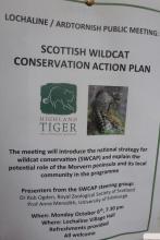Scottish Wildcat Conservation Action Plan Meeting at Lochaline