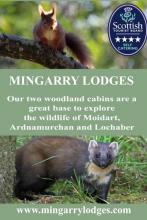 Mingarry Lodges - a great base to explore Ardnamurchan and Lochaber