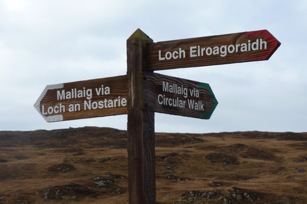 There are several well signed walks around Mallaig